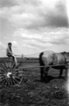 Peder Driving the Cart