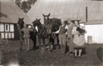 JP Lassen with Horses & Farm Help