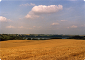 Fields Looking Down Toward Gudsø Vig