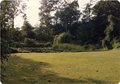 View from House of Yard & Pond