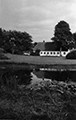 View of the House Looking East Over the Pond